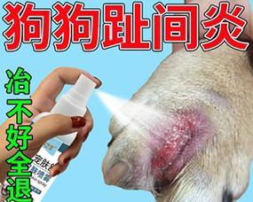 文章详情图片