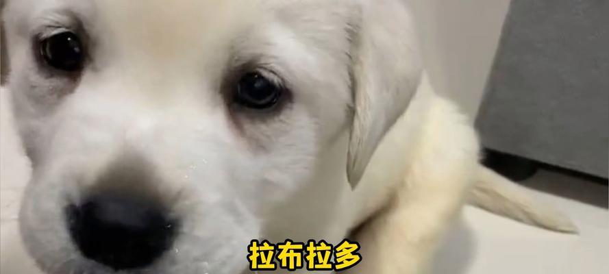 文章详情图片