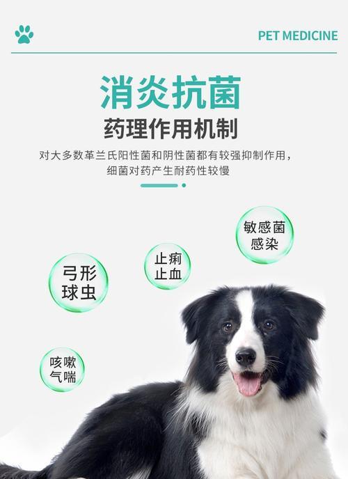 文章详情图片