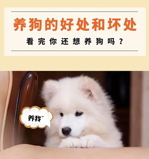 文章详情图片