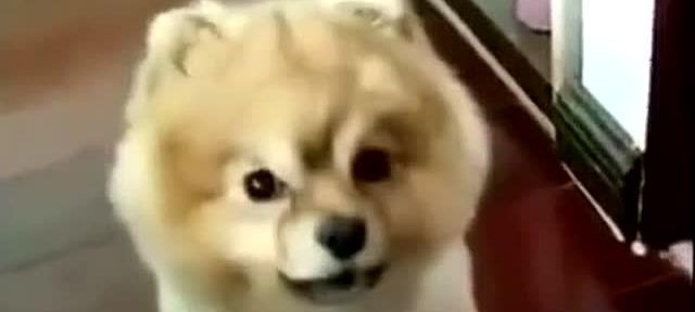 文章详情图片