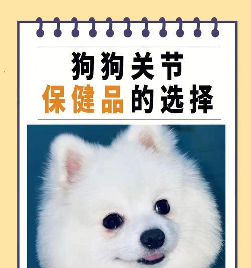 文章详情图片