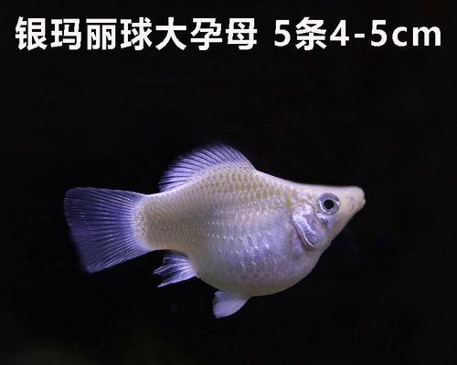 文章详情图片