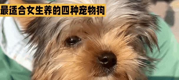 文章详情图片