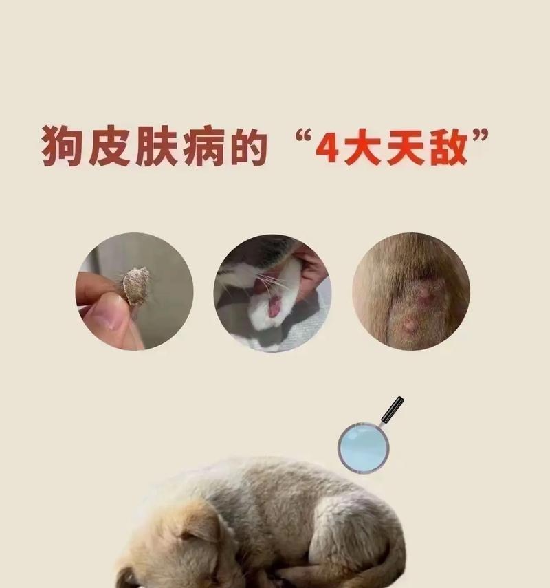 文章详情图片