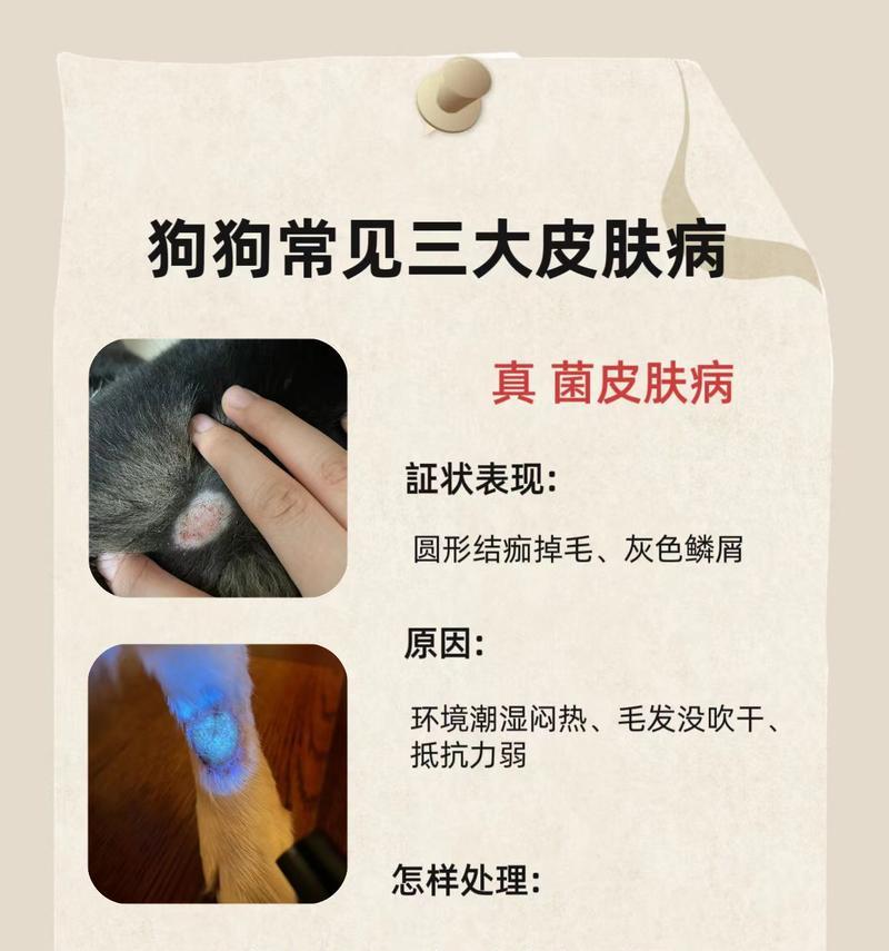 文章详情图片
