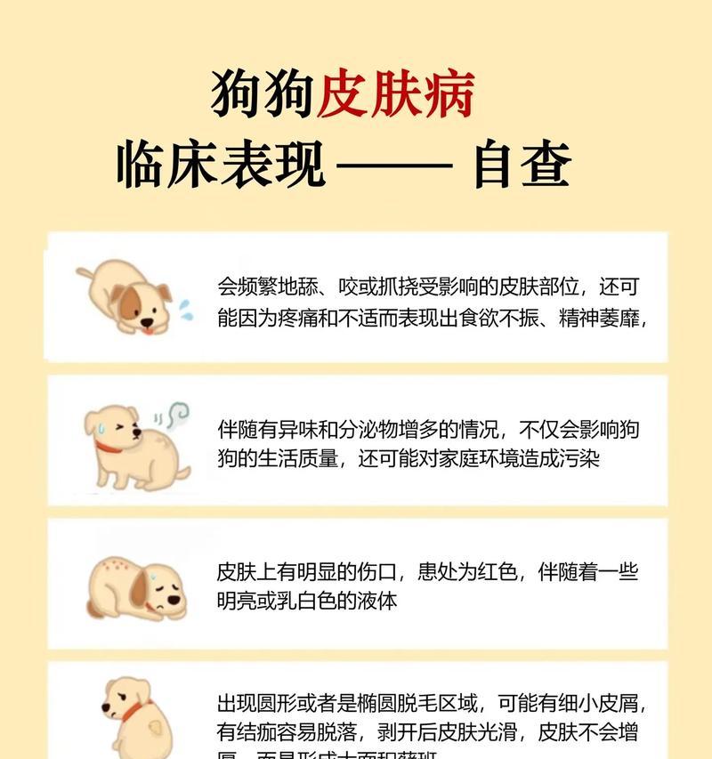文章详情图片