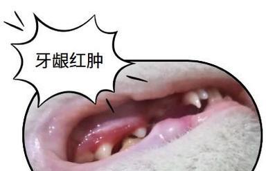 文章详情图片