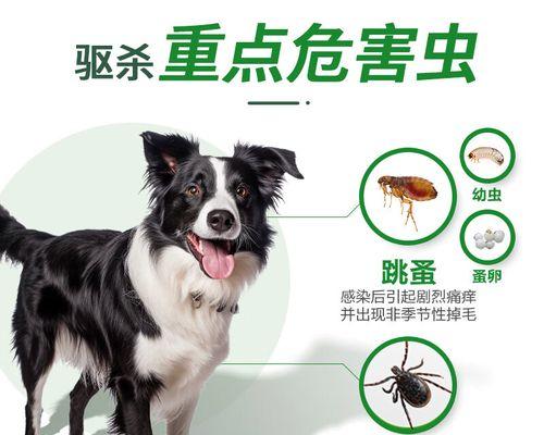 文章详情图片