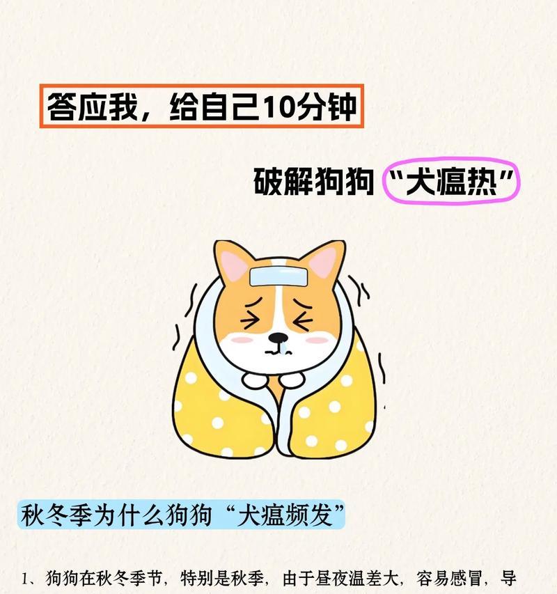 文章详情图片