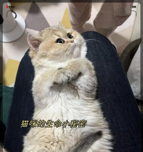 文章详情图片