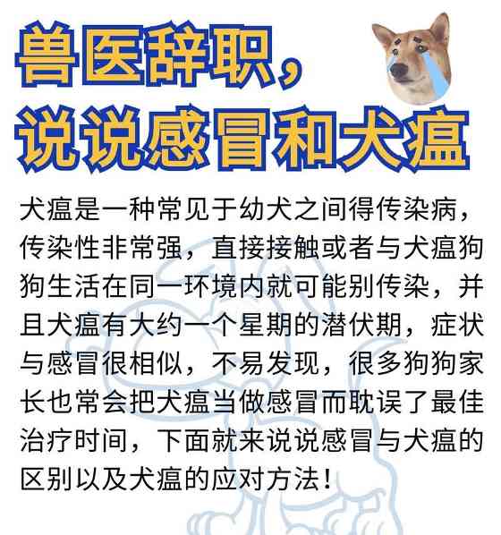 文章详情图片