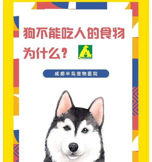 文章详情图片