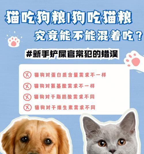 文章详情图片