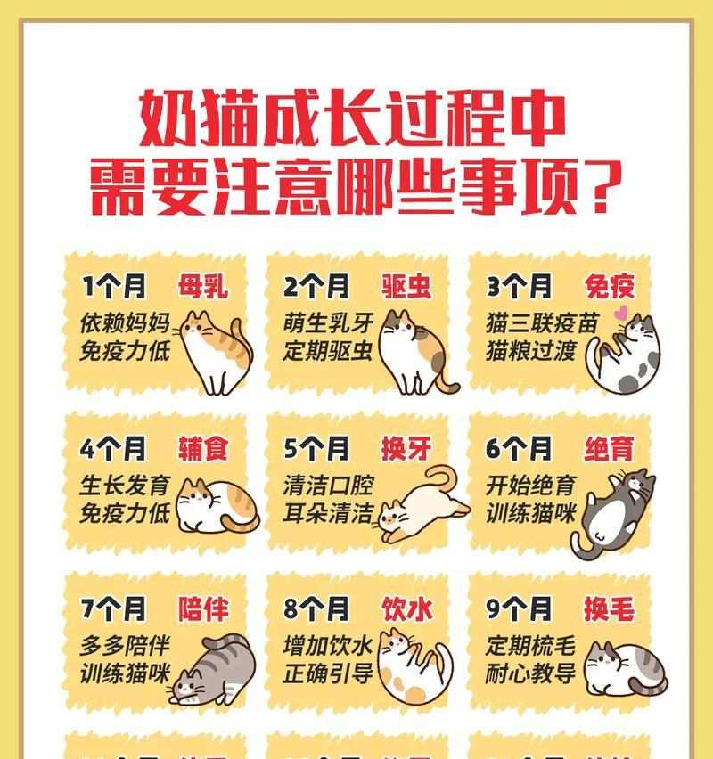文章详情图片