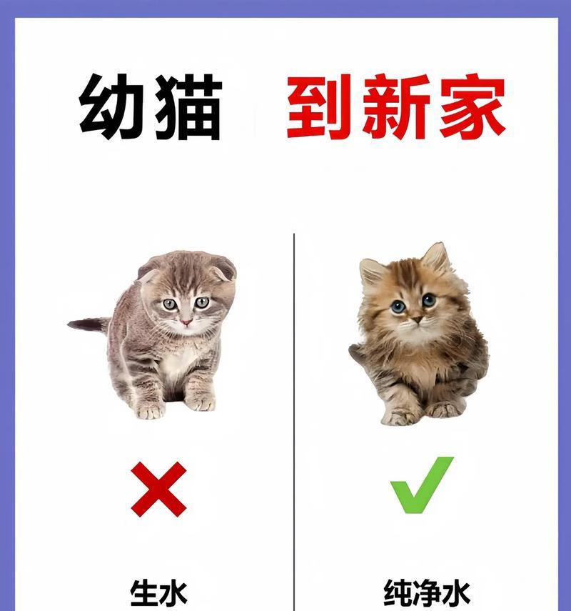 文章详情图片