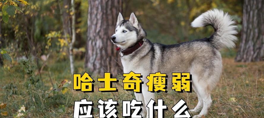文章详情图片