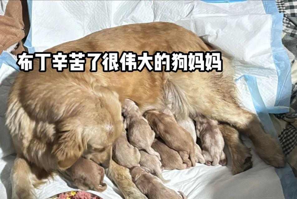 文章详情图片