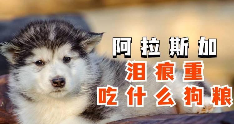 文章详情图片