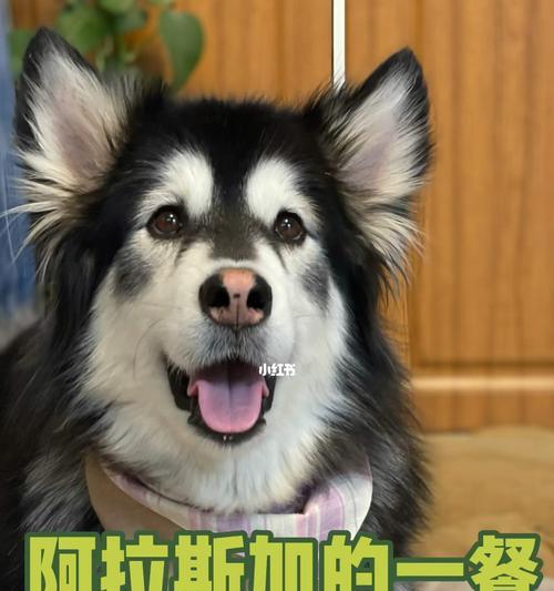 文章详情图片
