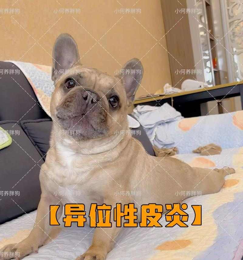 文章详情图片