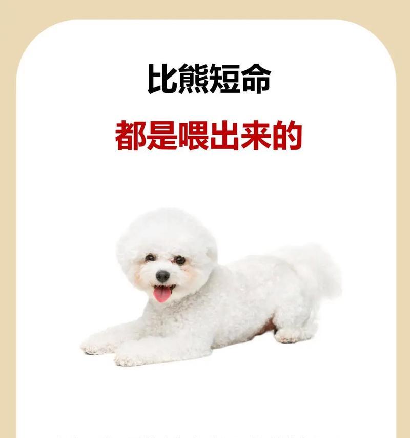 比熊犬的健康水果饮食指南（让你的比熊犬享受美味水果的同时保持健康）