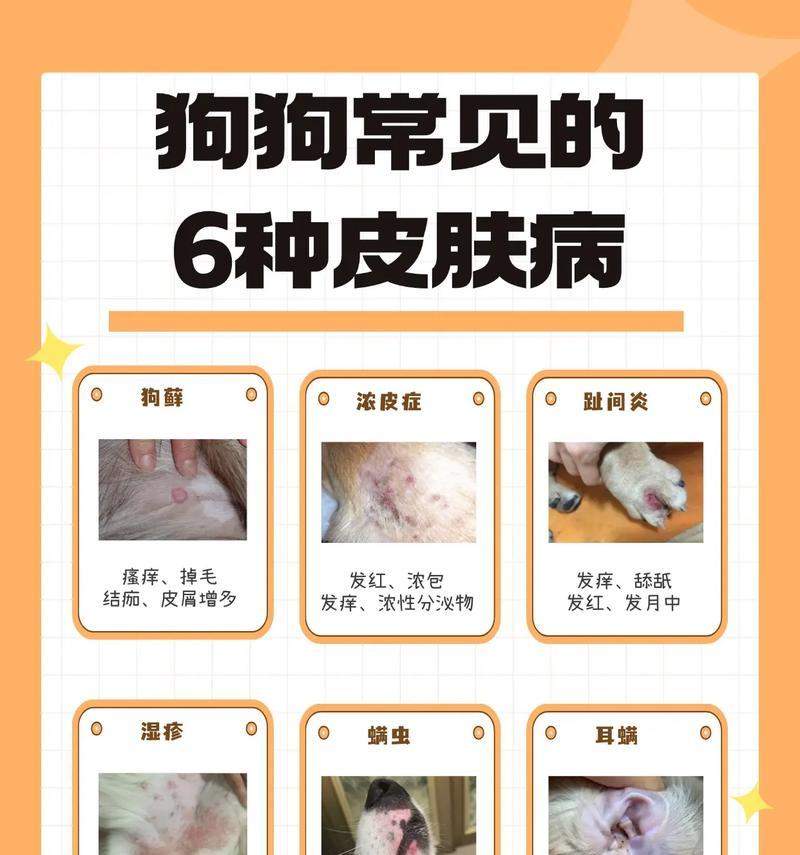 文章详情图片