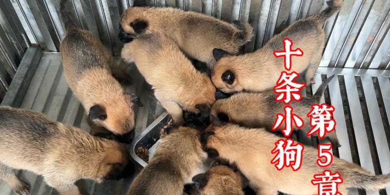 文章详情图片