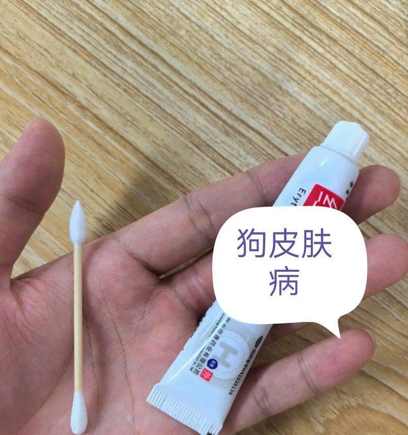 泰迪皮肤病的治疗方法及药物推荐（药物选择与用法详解，帮你解决泰迪皮肤病问题）