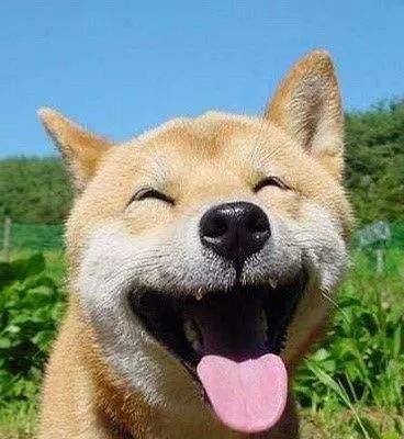 文章详情图片