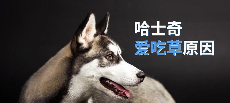 文章详情图片