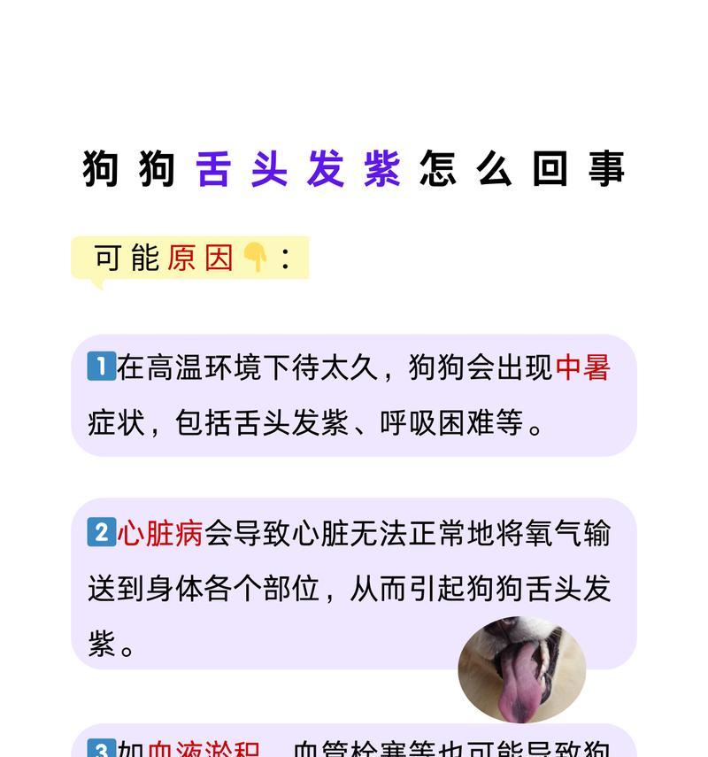 文章详情图片