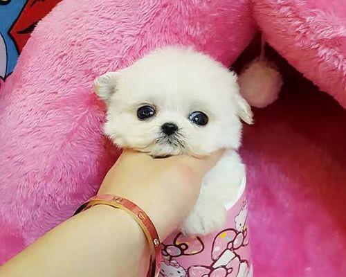 文章详情图片