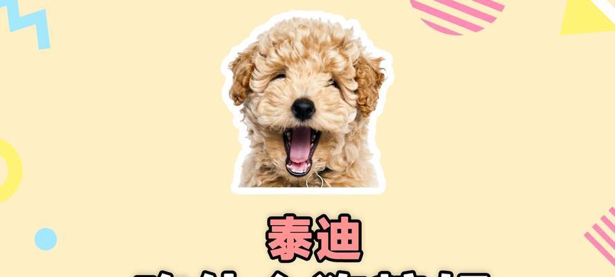 文章详情图片