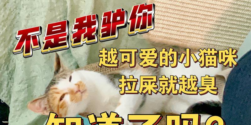 文章详情图片