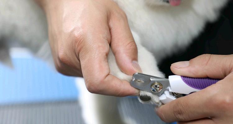 文章详情图片