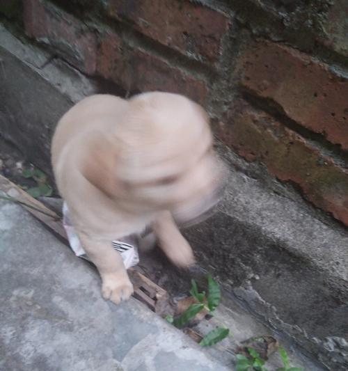 文章详情图片