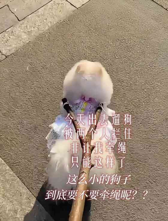 文章详情图片