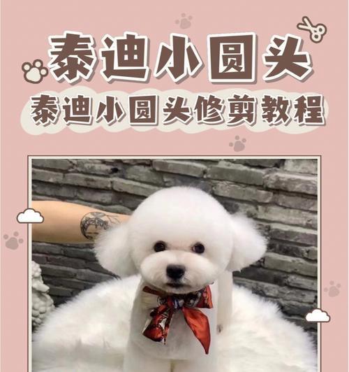 文章详情图片