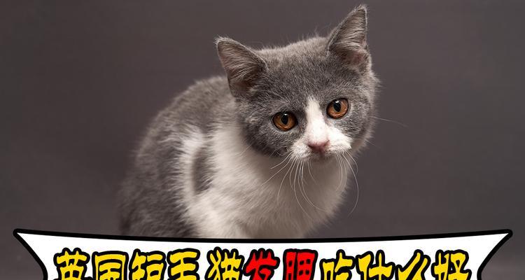 文章详情图片