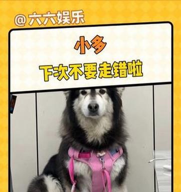 文章详情图片