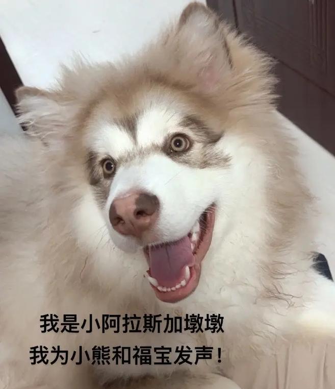 文章详情图片