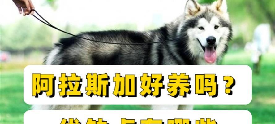 文章详情图片