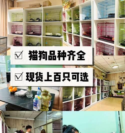 文章详情图片