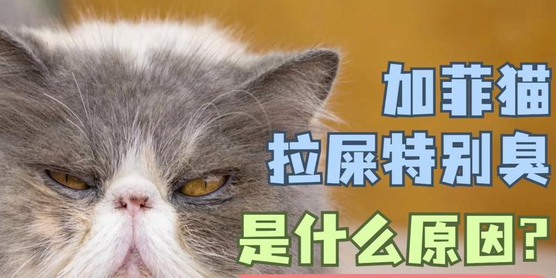 文章详情图片