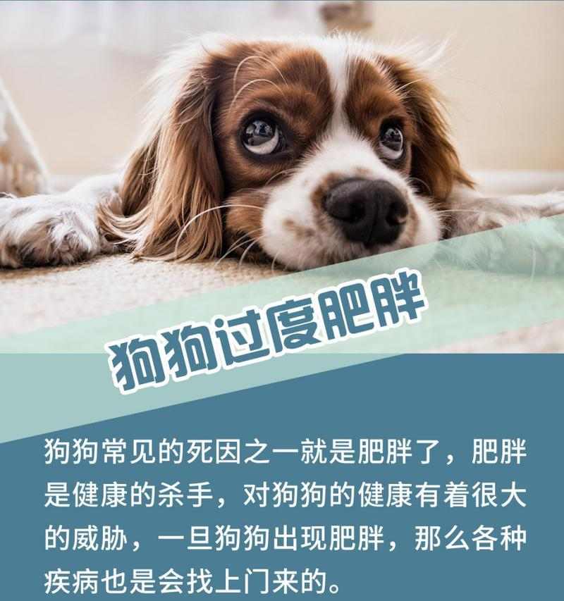 文章详情图片