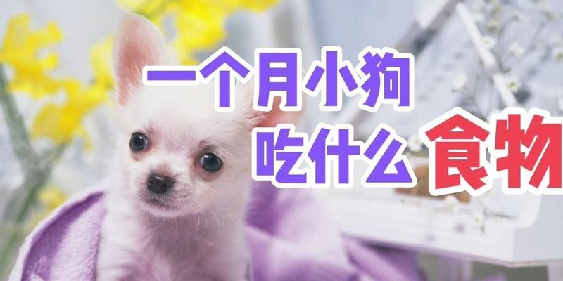 文章详情图片