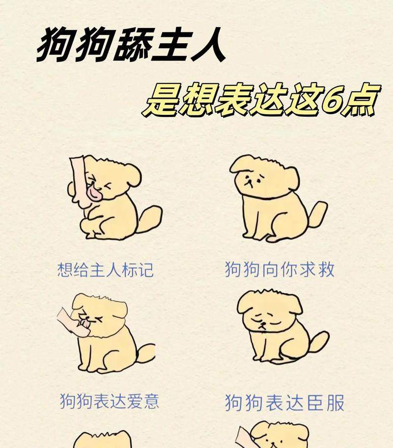 文章详情图片