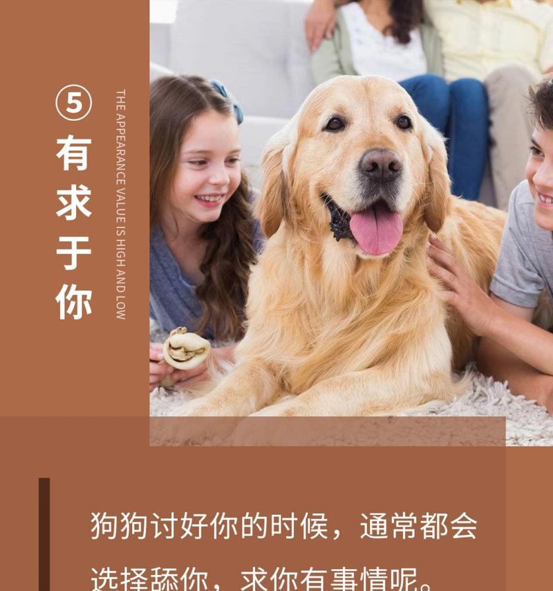 文章详情图片
