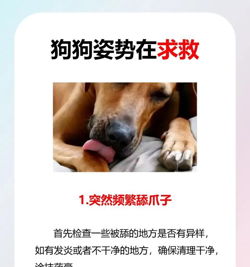 文章详情图片